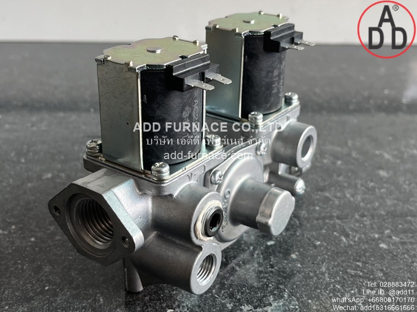WS-102-100 AC200V (2)